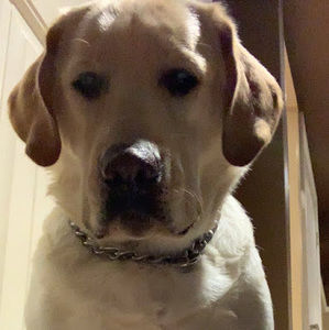 Meet your Posher, Cracko